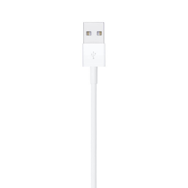 Apple Lightning to USB Cable 1M